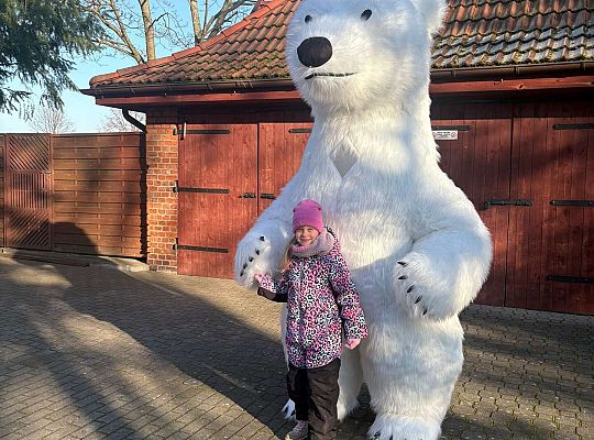 Gr.IV Dzień Pluszowego Misia