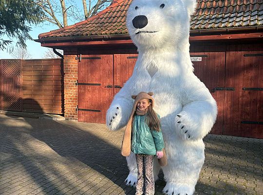 Gr.IV Dzień Pluszowego Misia