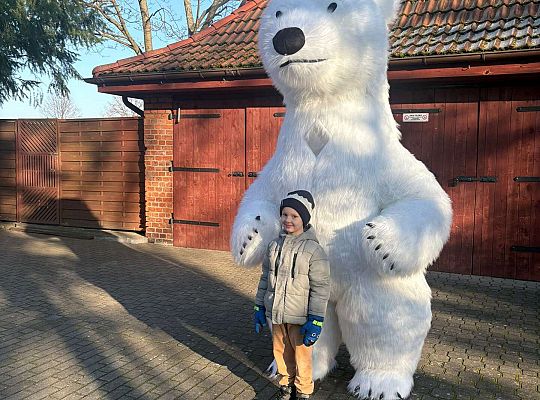 Gr.IV Dzień Pluszowego Misia