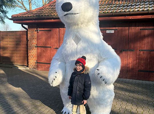 Gr.IV Dzień Pluszowego Misia