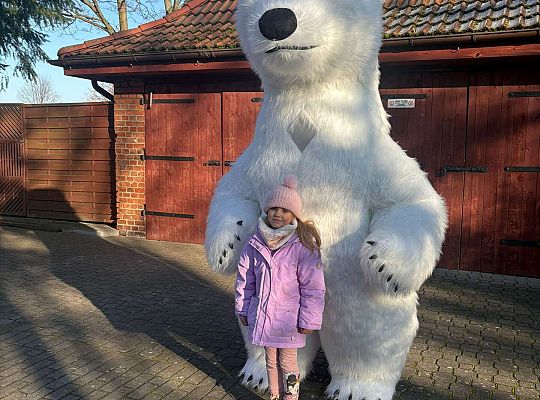 Gr.IV Dzień Pluszowego Misia