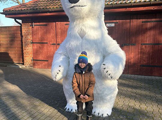 Gr.IV Dzień Pluszowego Misia