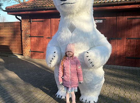 Gr.IV Dzień Pluszowego Misia