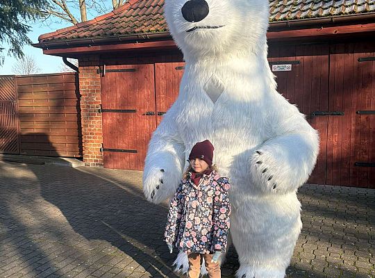 Gr.IV Dzień Pluszowego Misia