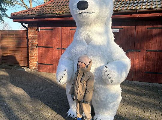 Gr.IV Dzień Pluszowego Misia