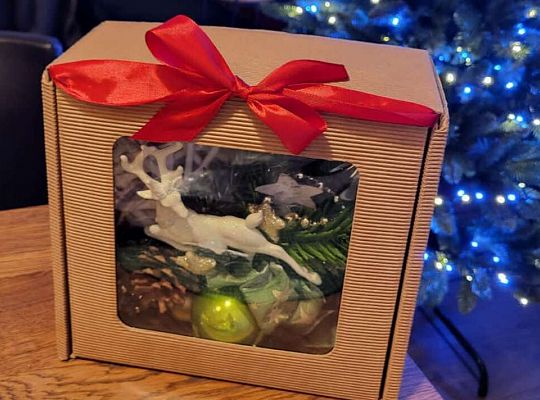 Gr.III Świateczna wizyta u Burmistrza oraz spacer po Lęborku