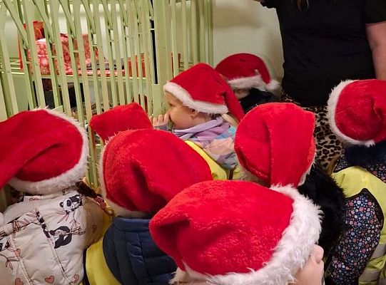 Gr.III Świateczna wizyta u Burmistrza oraz spacer po Lęborku