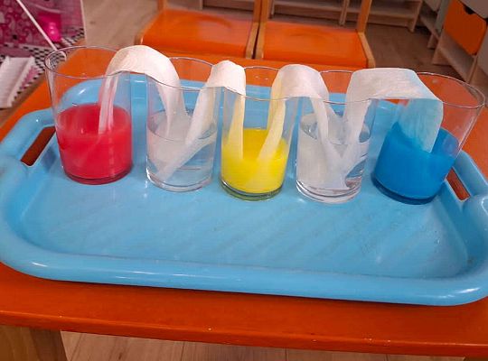 Gr.III Świat w kolorach