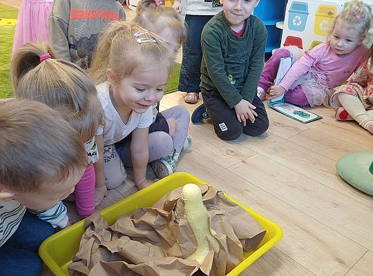 Gr. I Dzień Dinozaura