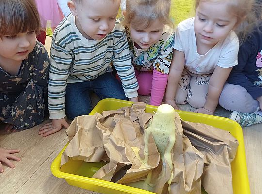 Gr. I Dzień Dinozaura