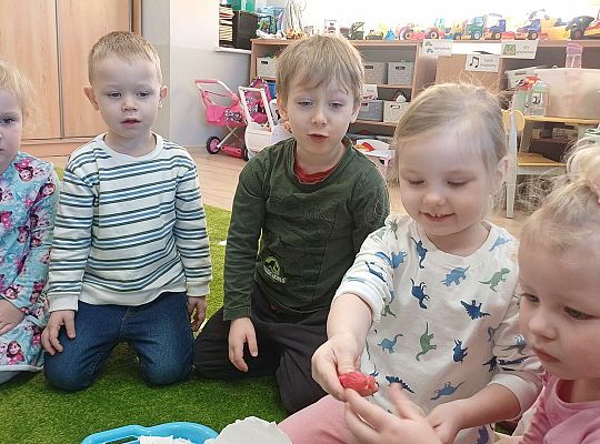 Gr. I Dzień Dinozaura