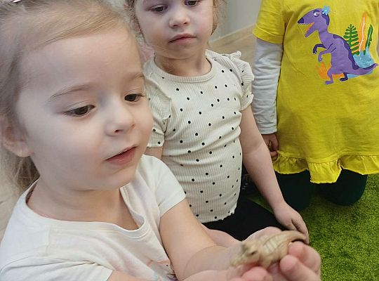 Gr. I Dzień Dinozaura