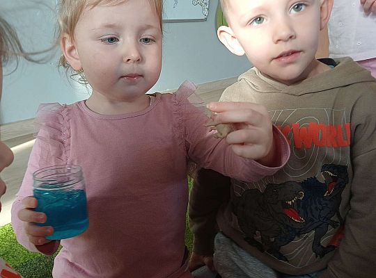 Gr. I Dzień Dinozaura