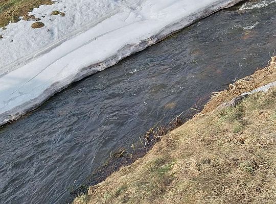 Gr.III Domy,domki i nie tylko