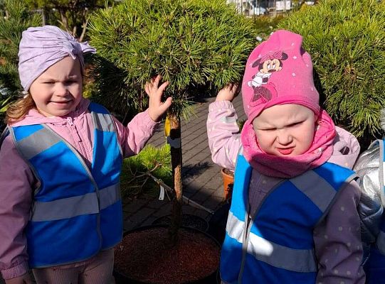 Gr. I Wyjście do Centrum ogrodniczego NIWIA oraz sadzenie kwiatów