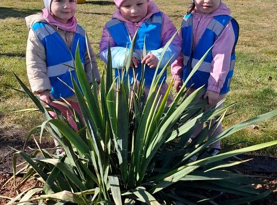 Gr. I Wyjście do Centrum ogrodniczego NIWIA oraz sadzenie kwiatów