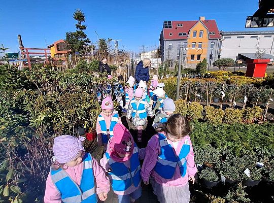 Gr. I Wyjście do Centrum ogrodniczego NIWIA oraz sadzenie kwiatów