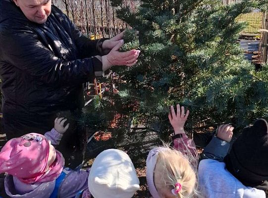 Gr. I Wyjście do Centrum ogrodniczego NIWIA oraz sadzenie kwiatów