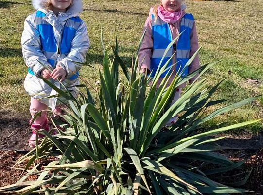 Gr. I Wyjście do Centrum ogrodniczego NIWIA oraz sadzenie kwiatów