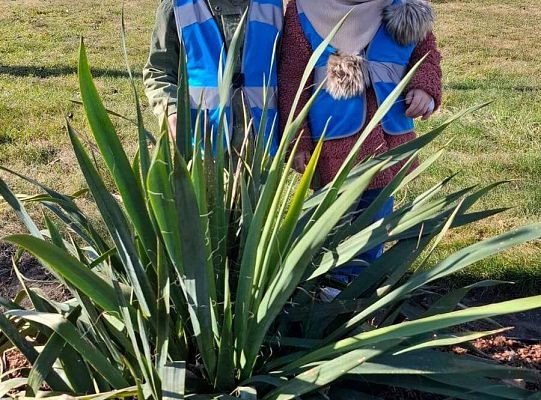 Gr. I Wyjście do Centrum ogrodniczego NIWIA oraz sadzenie kwiatów