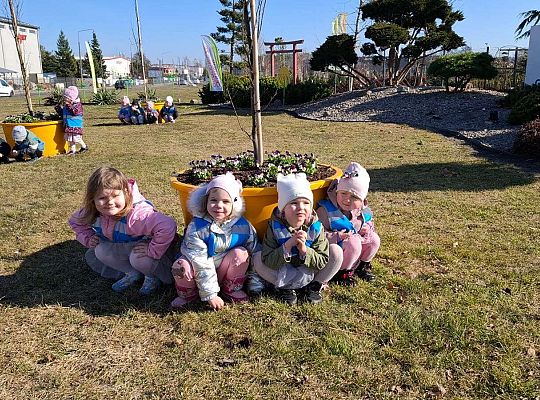 Gr. I Wyjście do Centrum ogrodniczego NIWIA oraz sadzenie kwiatów