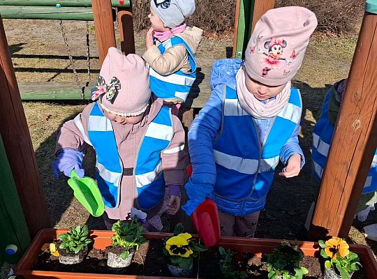 Gr. I Wyjście do Centrum ogrodniczego NIWIA oraz sadzenie kwiatów