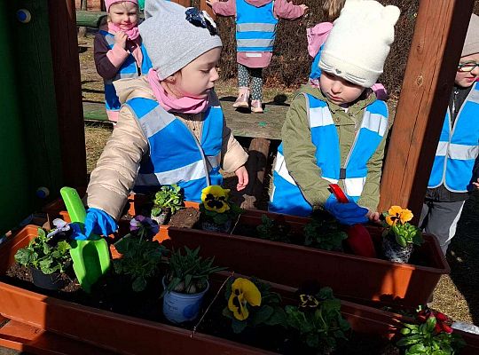 Gr. I Wyjście do Centrum ogrodniczego NIWIA oraz sadzenie kwiatów