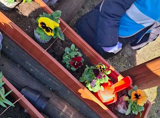 Gr. I Wyjście do Centrum ogrodniczego NIWIA oraz sadzenie kwiatów