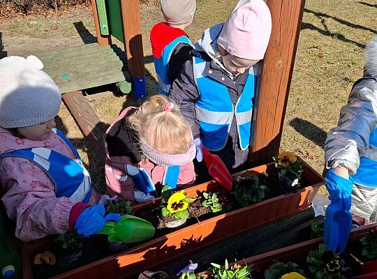 Gr. I Wyjście do Centrum ogrodniczego NIWIA oraz sadzenie kwiatów