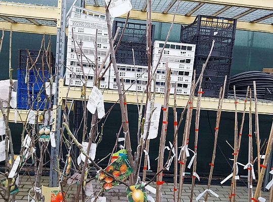 Gr.III Wycieczka do Centrum Ogrodniczego