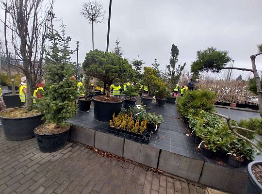 Gr.III Wycieczka do Centrum Ogrodniczego