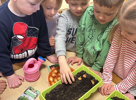 Gr. II Poznajemy pracę ogrodnika