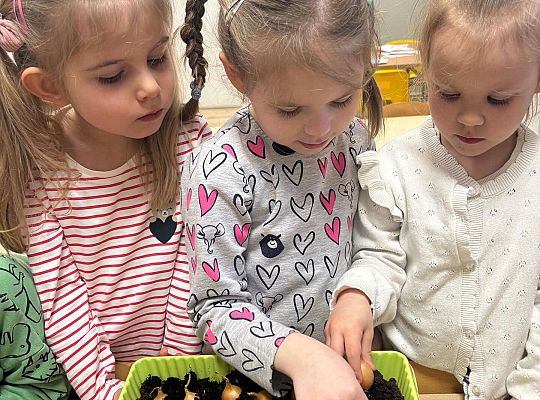 Gr. II Poznajemy pracę ogrodnika