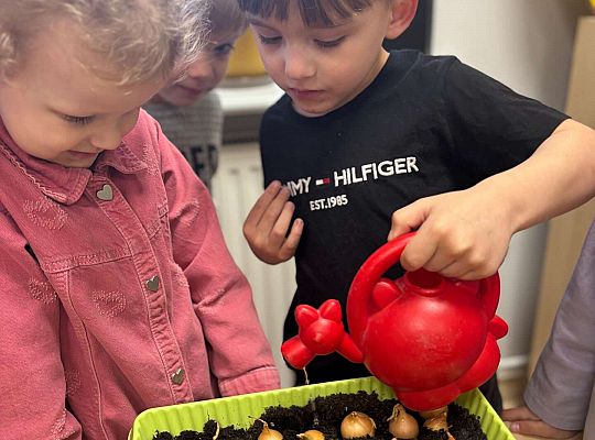 Gr. II Poznajemy pracę ogrodnika