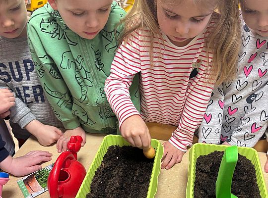 Gr. II Poznajemy pracę ogrodnika