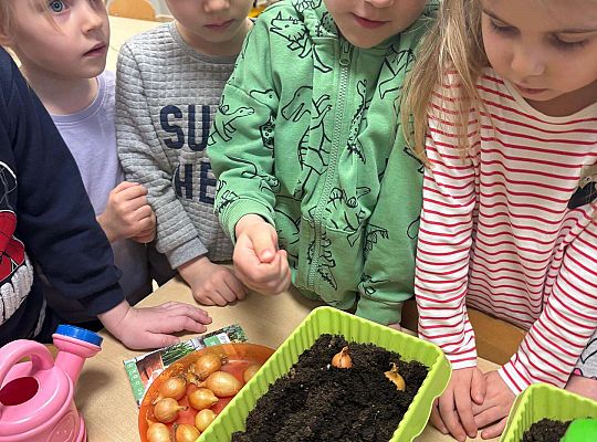 Gr. II Poznajemy pracę ogrodnika