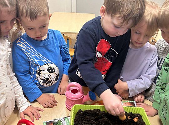 Gr. II Poznajemy pracę ogrodnika