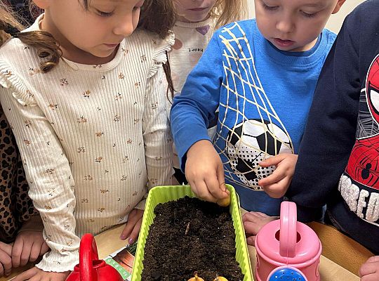 Gr. II Poznajemy pracę ogrodnika