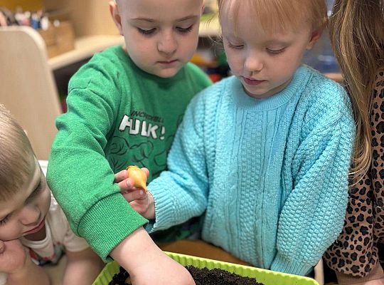 Gr. II Poznajemy pracę ogrodnika