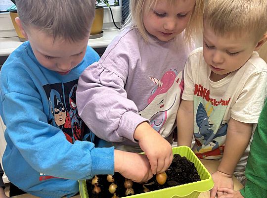 Gr. II Poznajemy pracę ogrodnika
