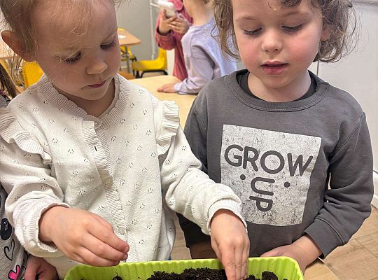 Gr. II Poznajemy pracę ogrodnika