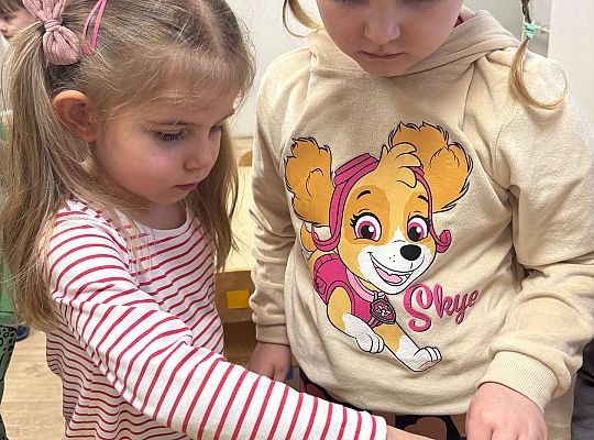 Gr. II Poznajemy pracę ogrodnika