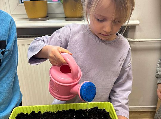 Gr. II Poznajemy pracę ogrodnika