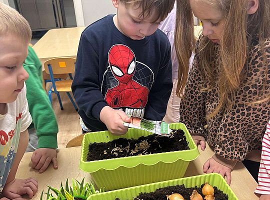 Gr. II Poznajemy pracę ogrodnika