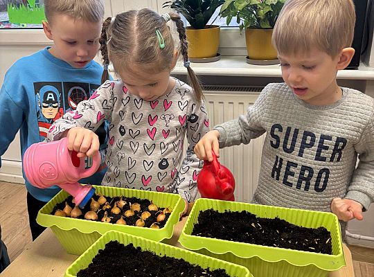 Gr. II Poznajemy pracę ogrodnika