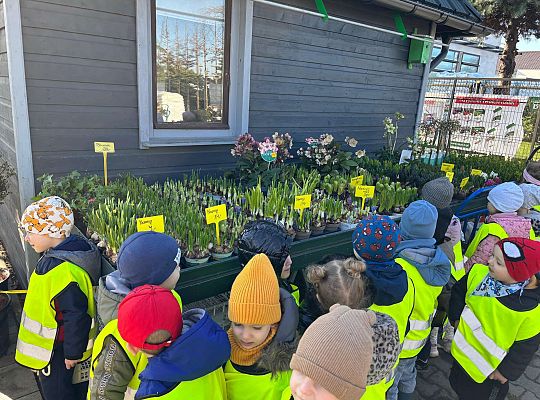Gr. II Wycieczka do centrum ogrodniczego
