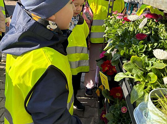 Gr. II Wycieczka do centrum ogrodniczego