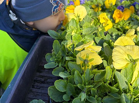 Gr. II Wycieczka do centrum ogrodniczego