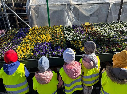 Gr. II Wycieczka do centrum ogrodniczego
