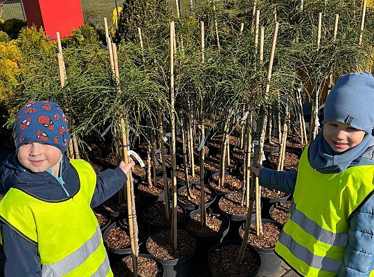 Gr. II Wycieczka do centrum ogrodniczego